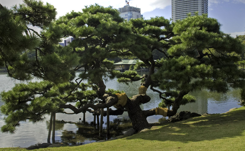 Tokyo