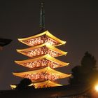 Tokyo Asakusa Sensoji