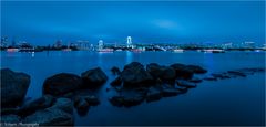 Tokyo at blue hour