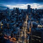 Tokyo Blue Hour