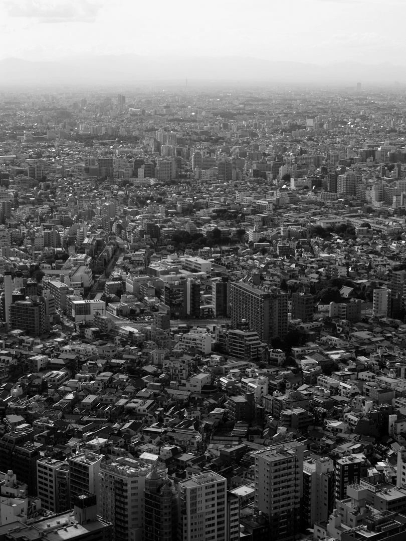 Tokyo Metropolitan Building