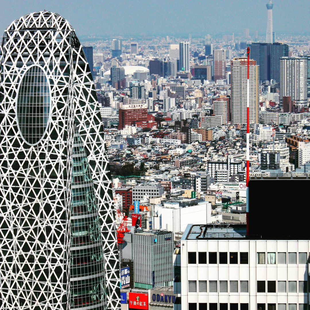 Tokyo Metropolitan Government Building