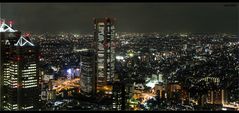 Tokyo night