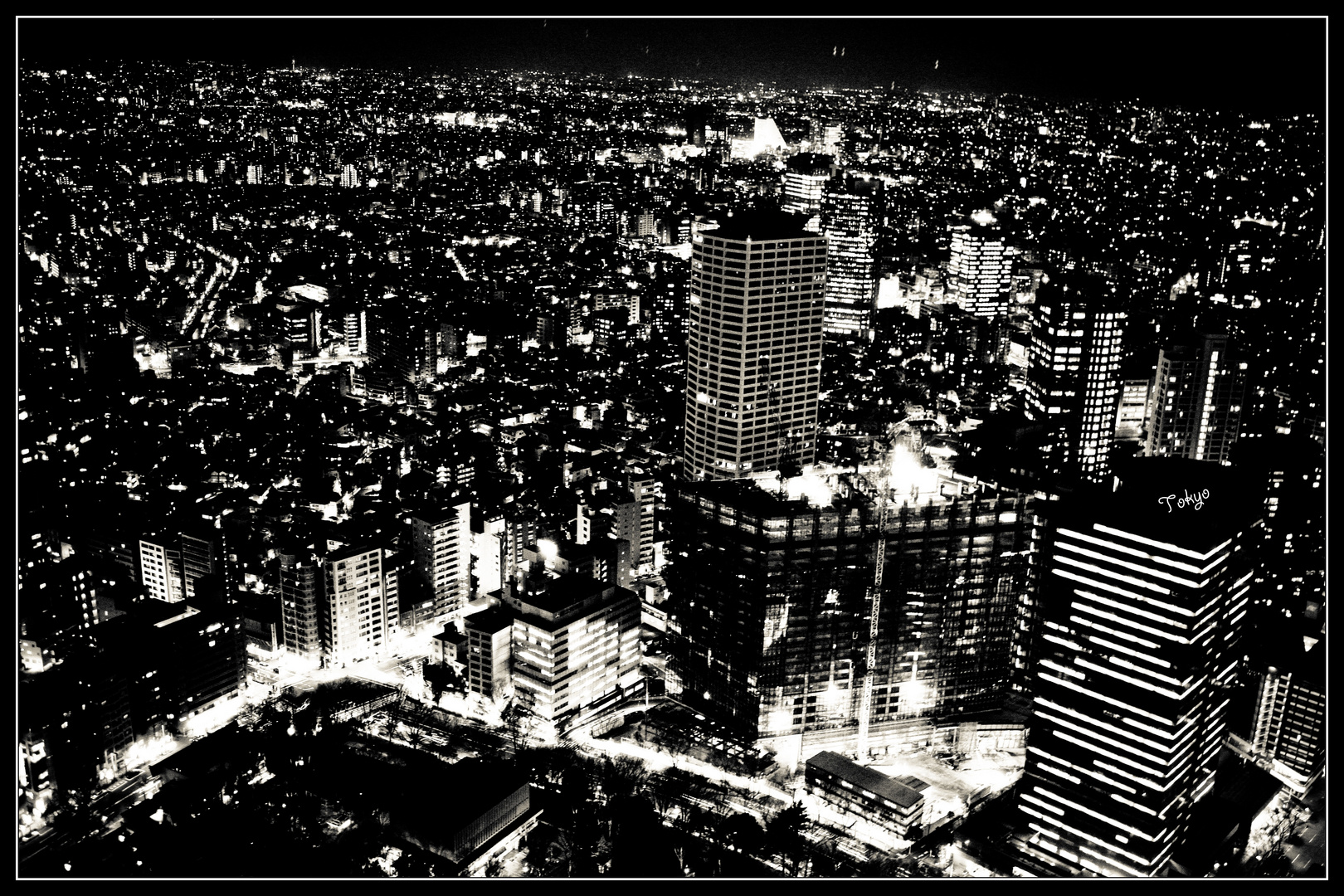 Tokyo night view b&w