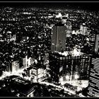 Tokyo night view b&w