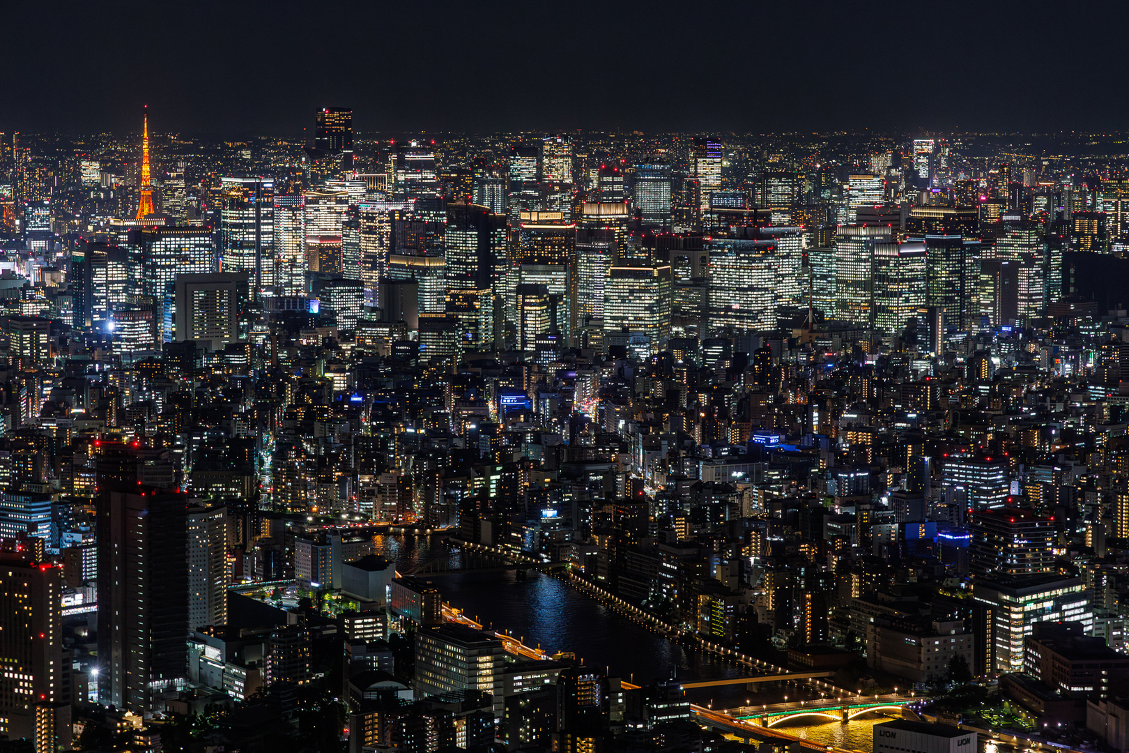 Tokyo night view I