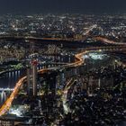 Tokyo Night view III