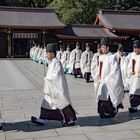 Tokyo, Priester im Meiji- Jingu Schrein