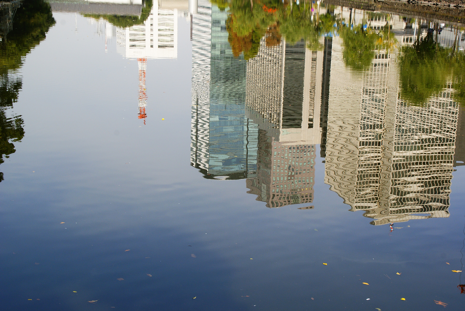 Tokyo reflected