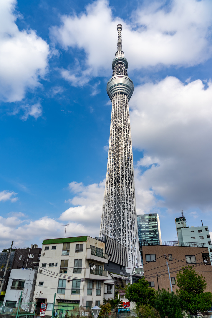 Tokyo Sky Tree