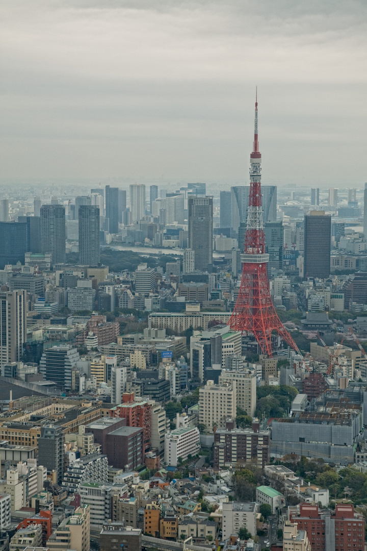 Tokyo Skyline