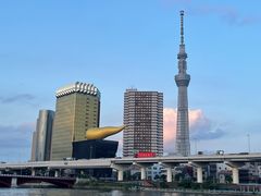 Tokyo Skyline