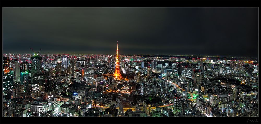 Tokyo Skyline Panorama