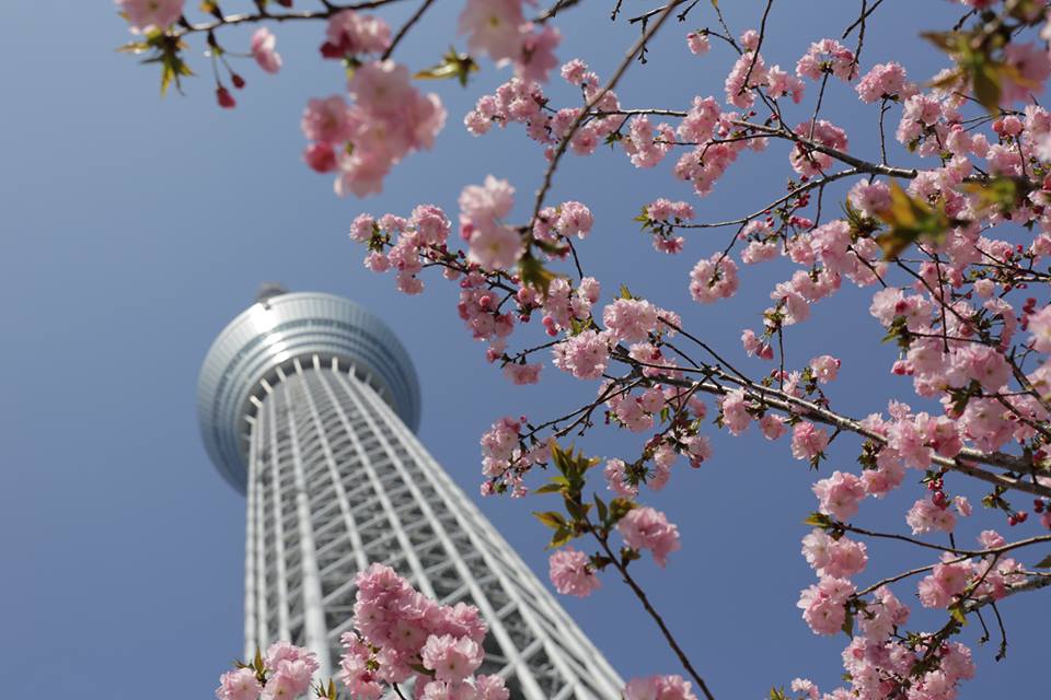 Tokyo Skytree Tower