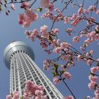 Tokyo Skytree Tower