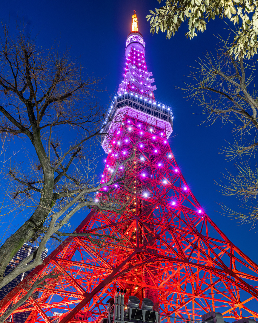 Tokyo Tower