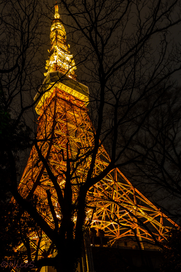 Tokyo tower at night