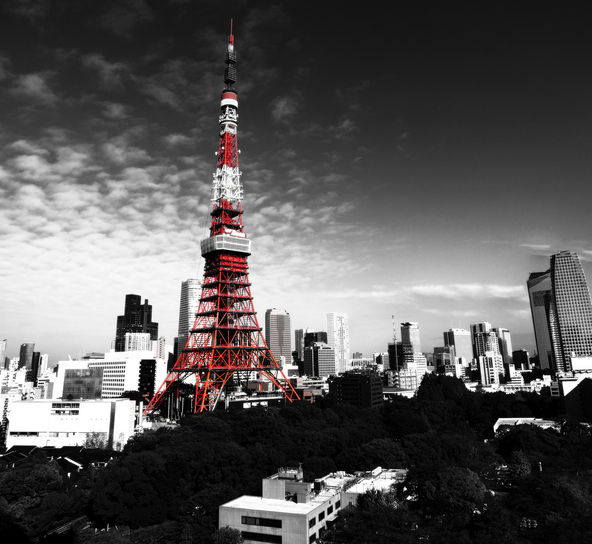 Tokyo Tower in Black/White&Red