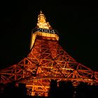 Tokyo Tower - Shortly before New Year's Day