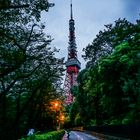 Tokyo Tower View from Street