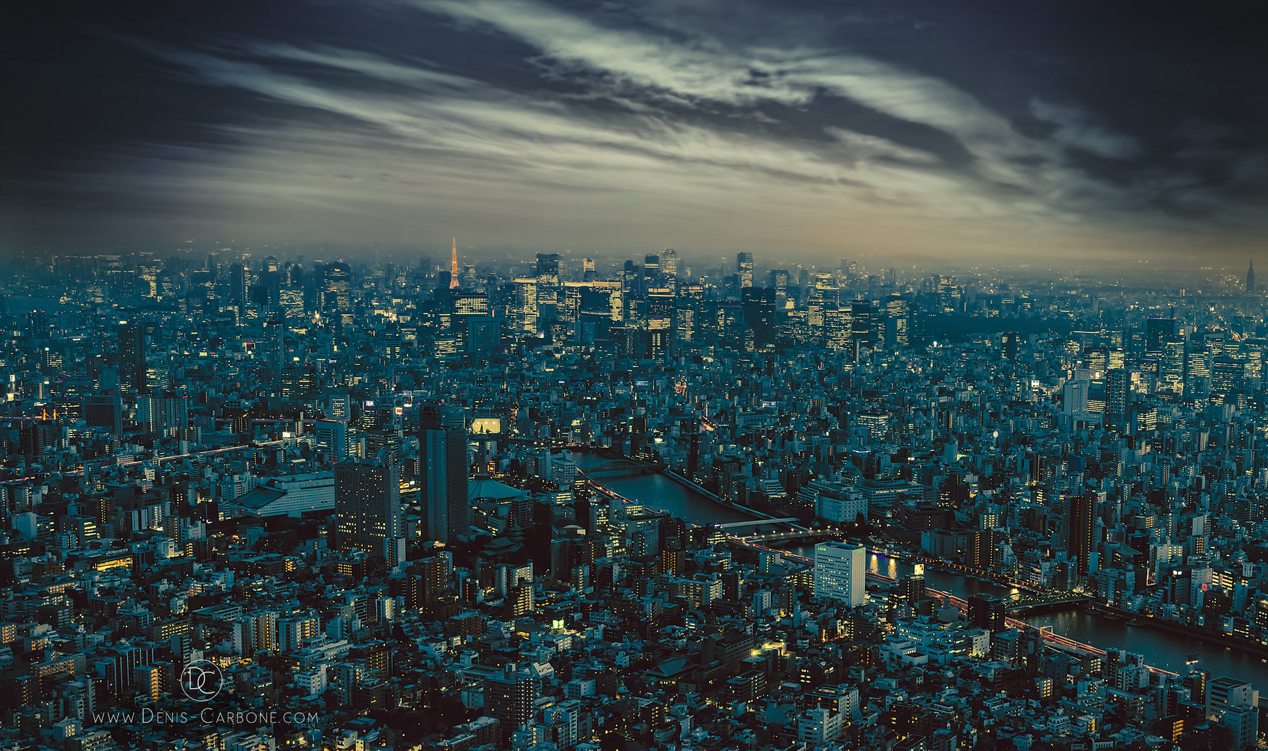 Tokyo Twilight