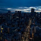 Tokyo Twilight Our