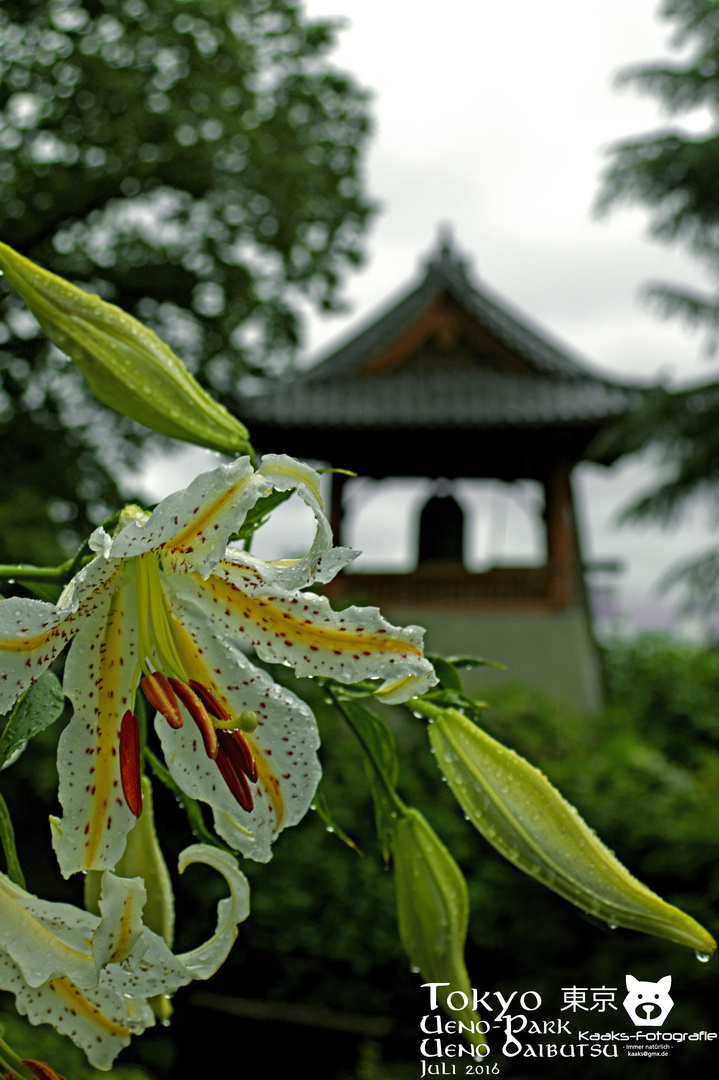 Tokyo Ueno-Park, Ueno Daibutsu