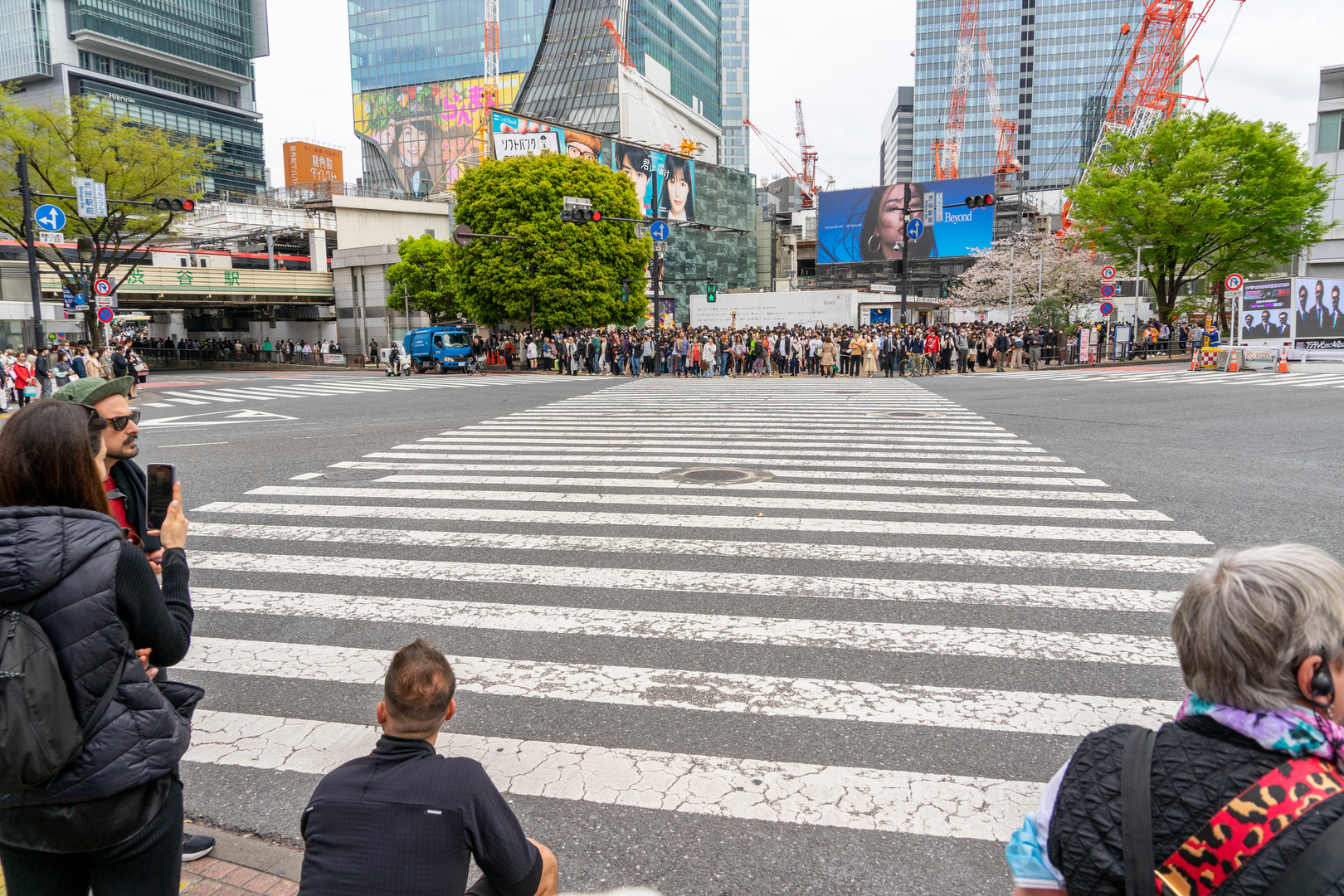 Tokyo - Warten auf Grün