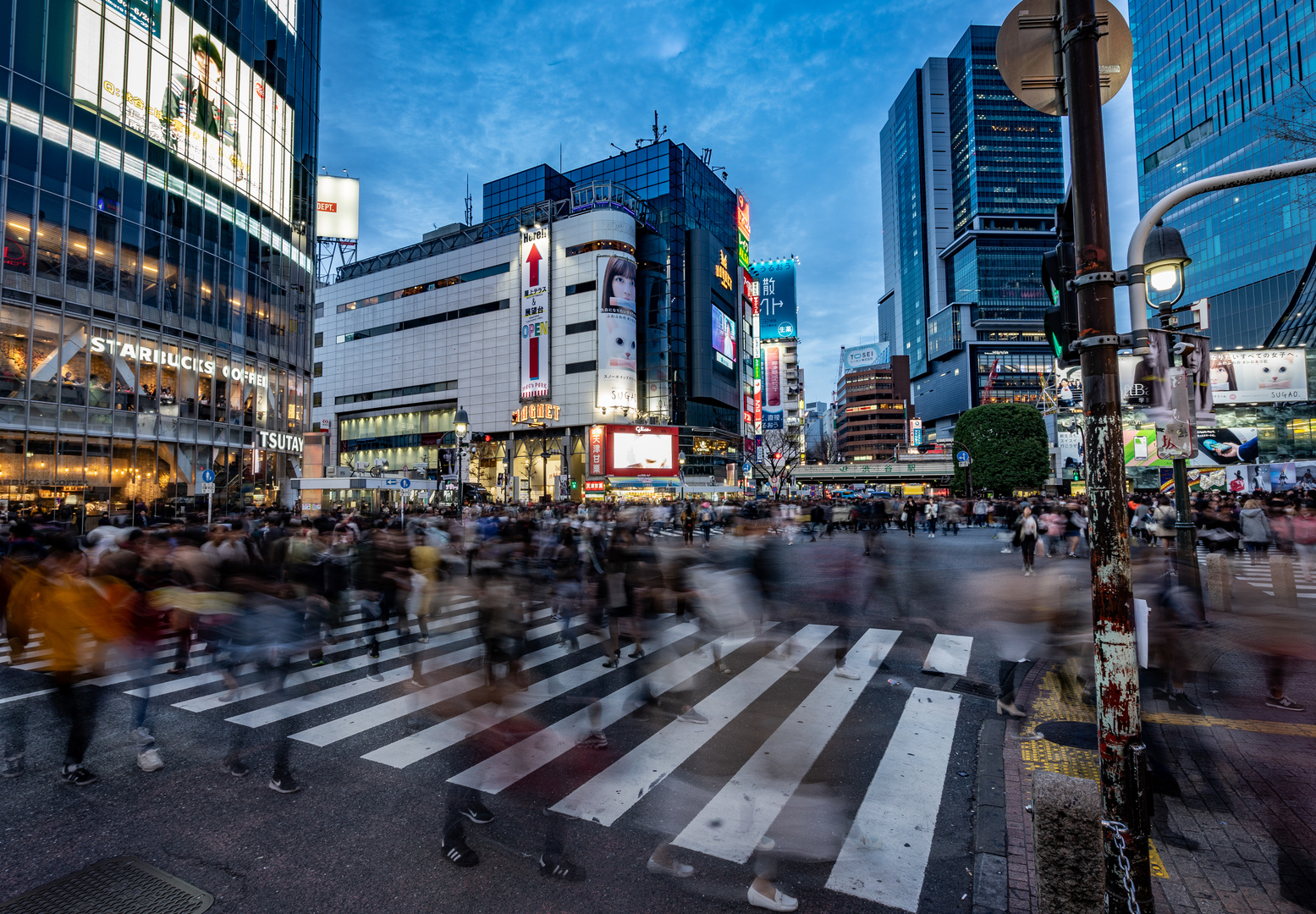 Tokyo_Shibuya