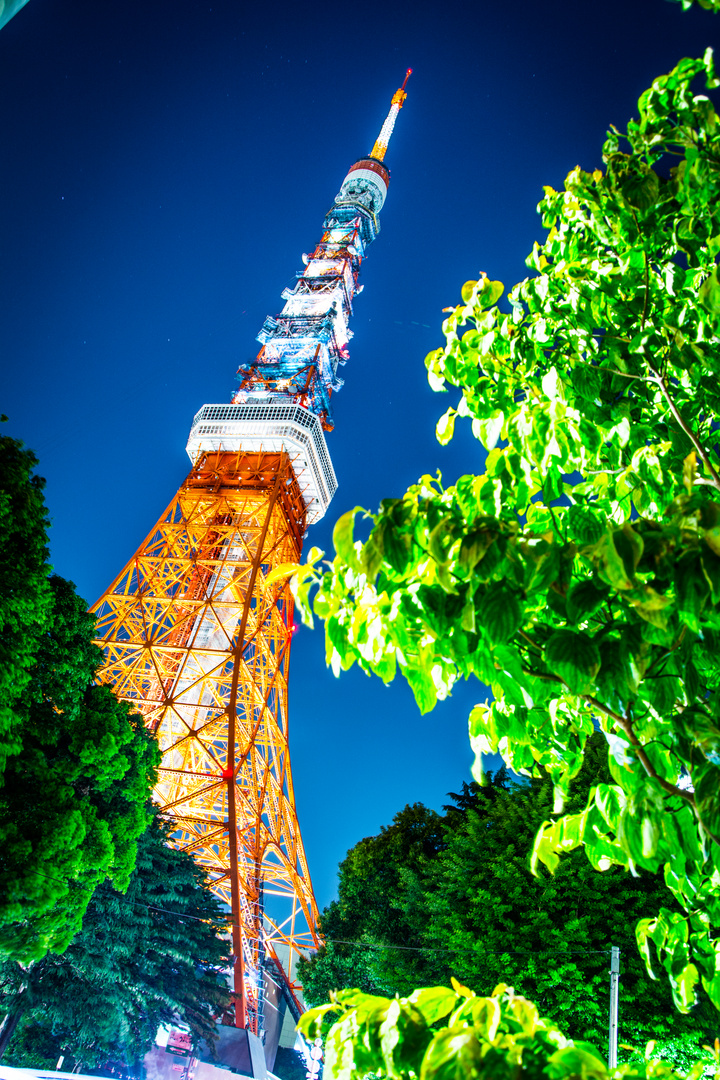 Tokyotower favourite