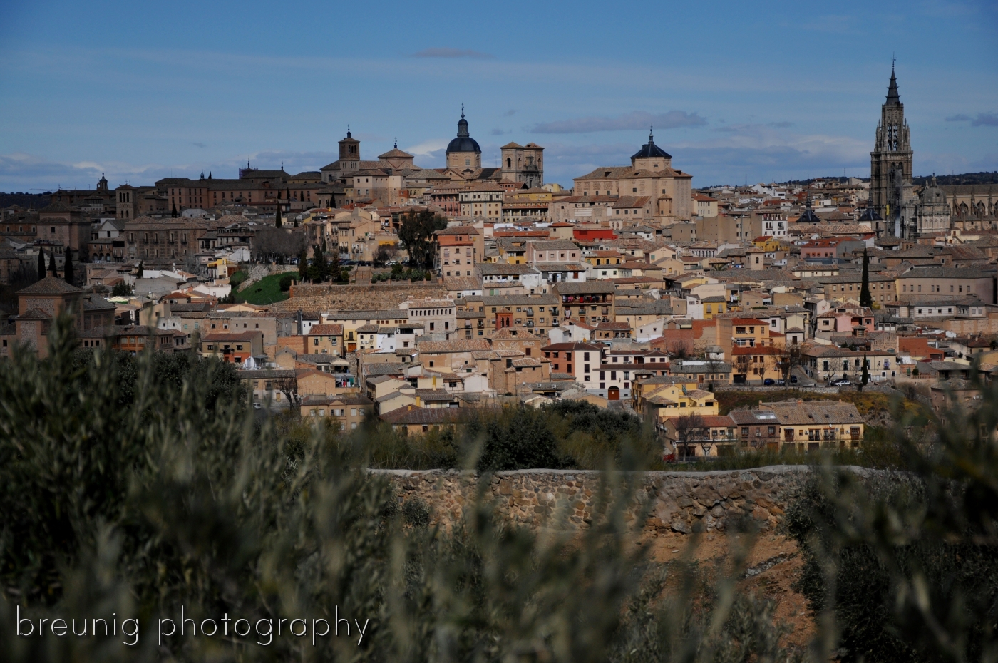 toledo panorama