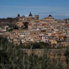 toledo panorama