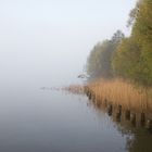 Tolensesee im Morgennebel