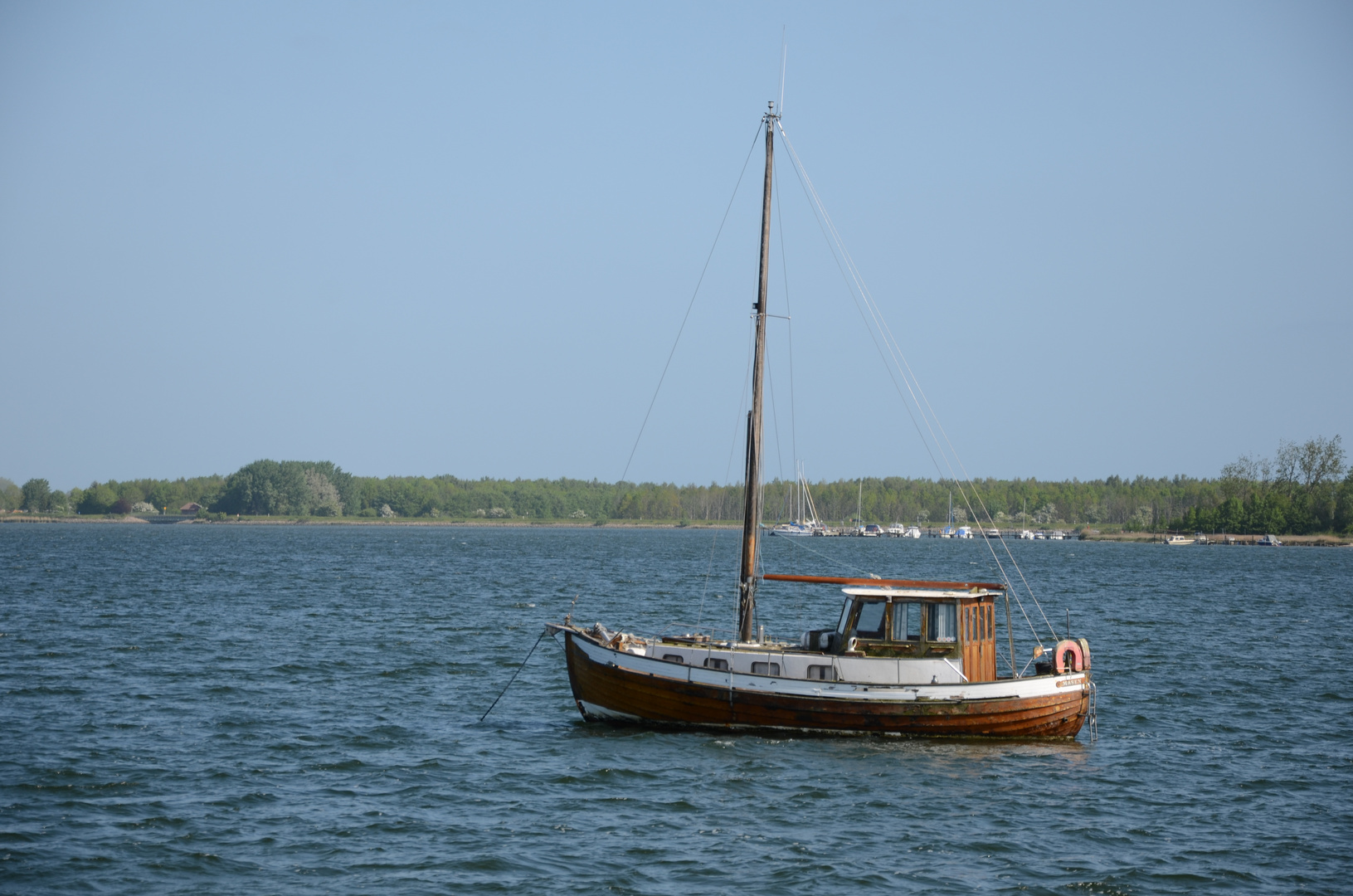 Tolk 2023 017 Foto & Bild deutschland, europe, schleswig holstein