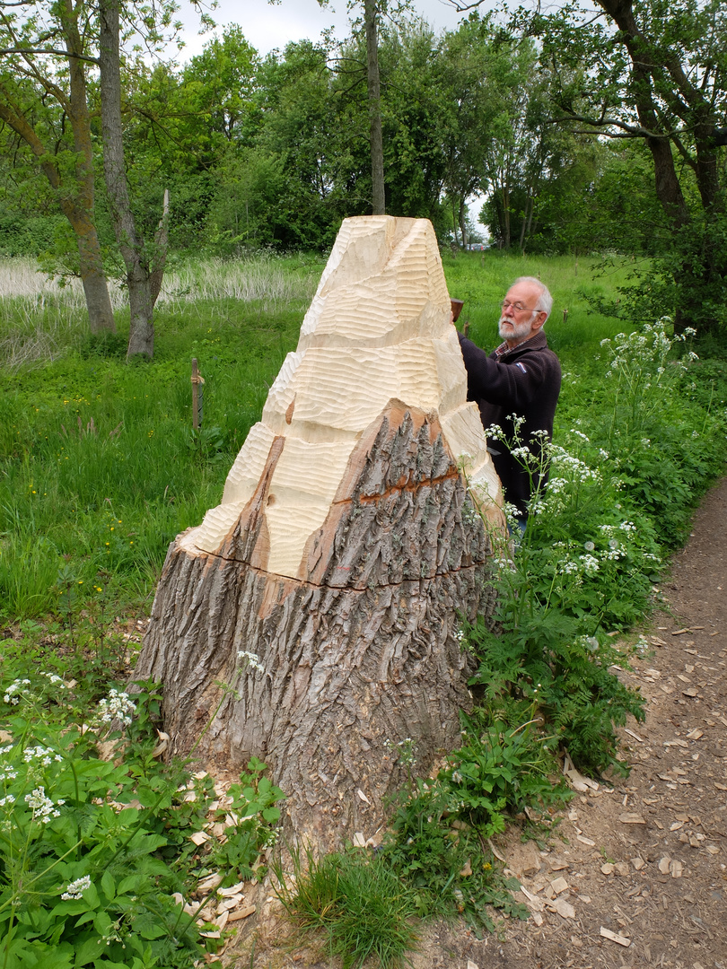 Tolk 2023 102 Foto & Bild schlei, schleswig holstein Bilder auf