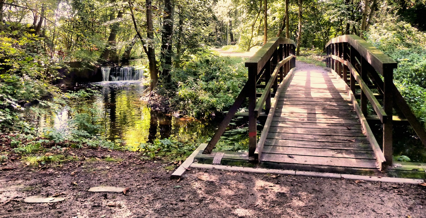 Toll so im Schatten zu wandern wenn daneben das Wasser blubbert.