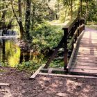 Toll so im Schatten zu wandern wenn daneben das Wasser blubbert.