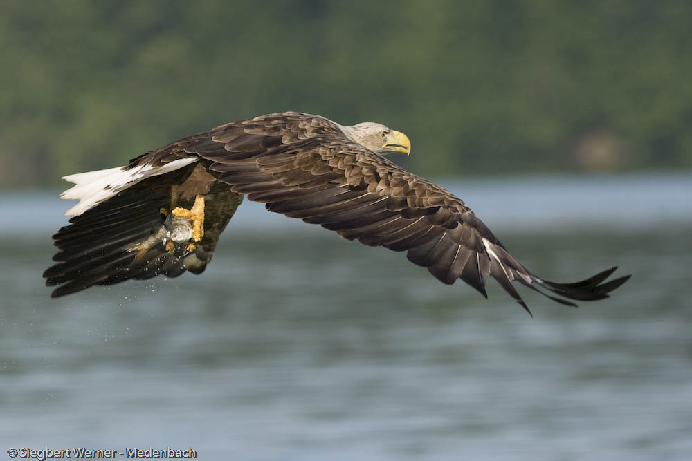 Tolle Aussicht - aber der Flugpreis ist zu hoch