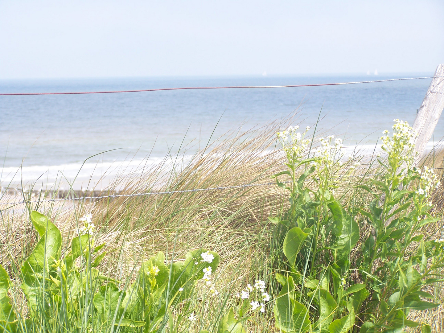 tolle aussicht aufs Meer