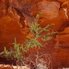 Tolle Farben im Valley of Fire