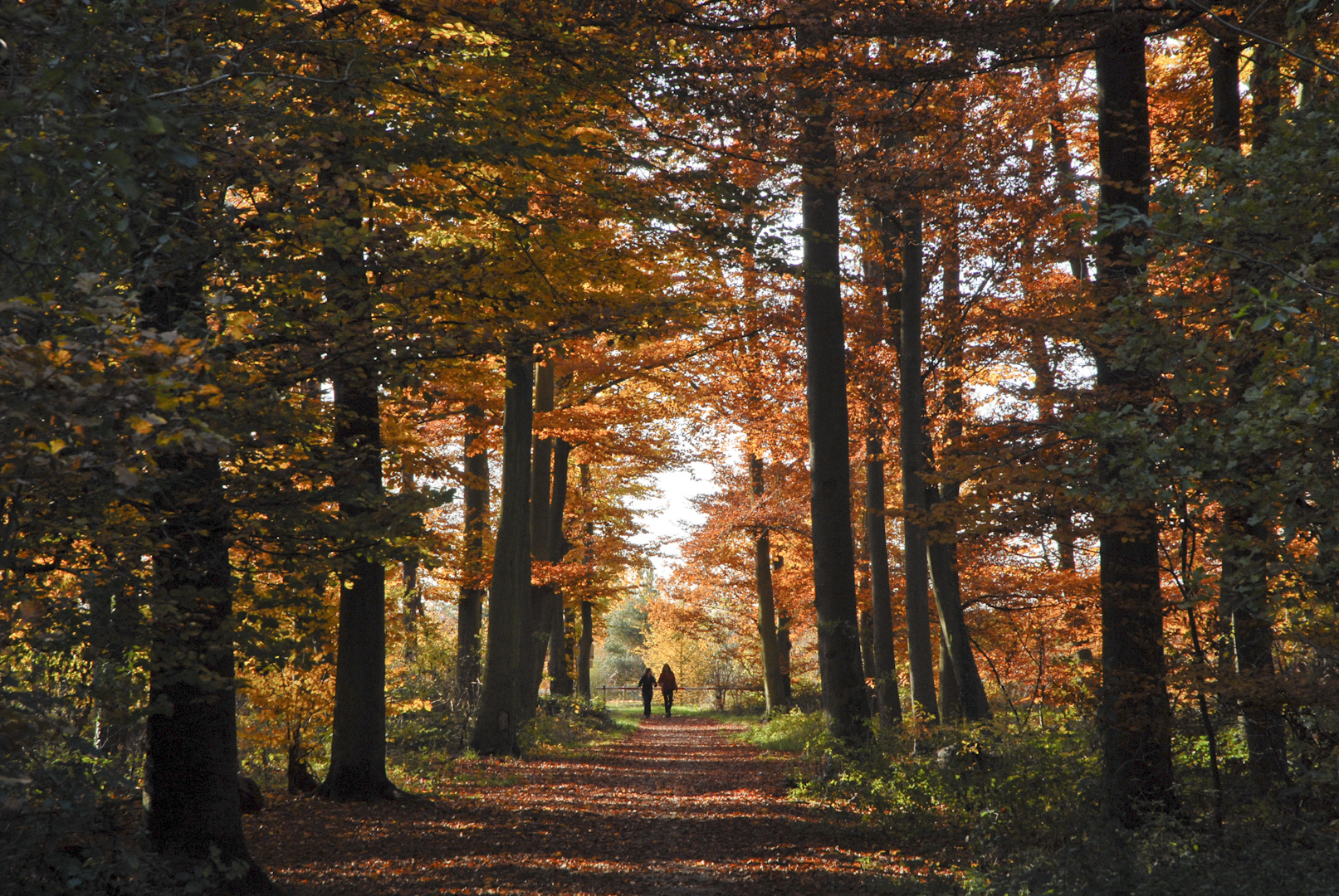 Tolle Herbstzeit