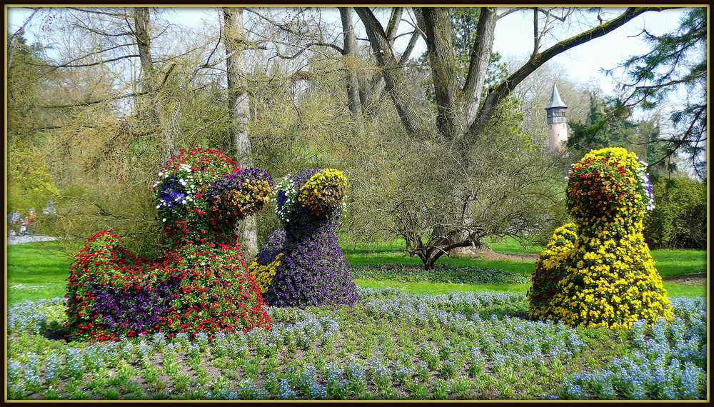 Tolle Motive auf der Insel Mainau