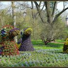 Tolle Motive auf der Insel Mainau