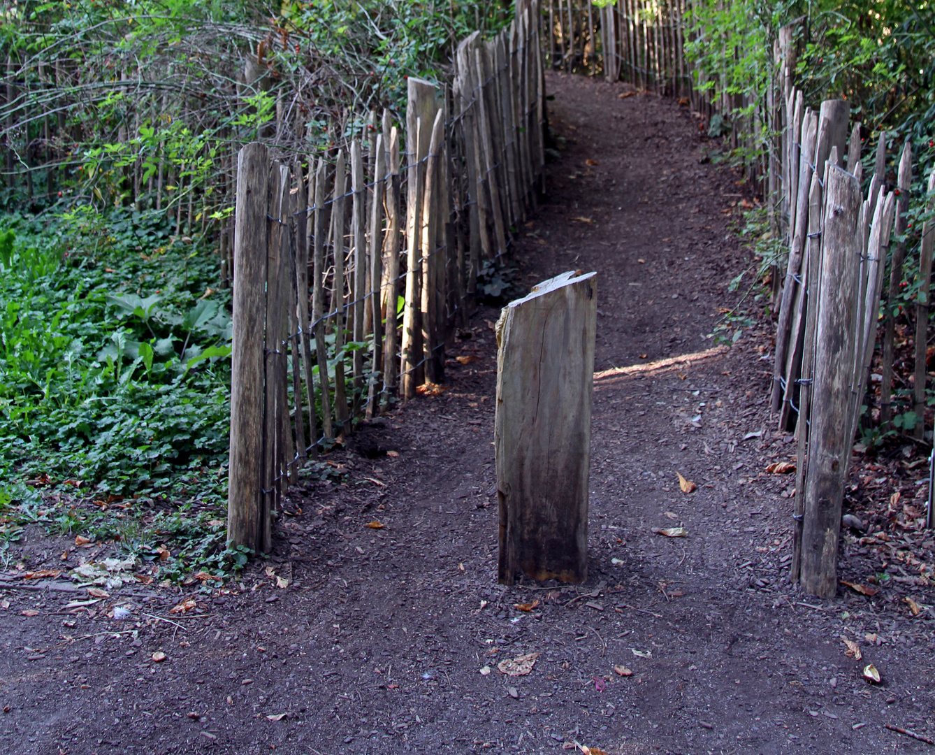 Tolle Pfade durch den Zoo Heidelberg