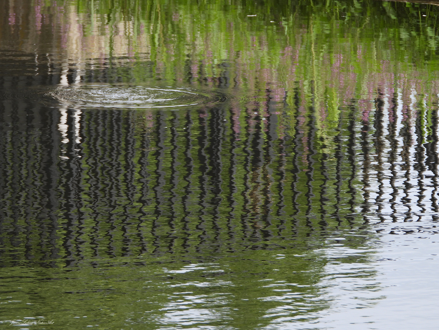 Tolle Spiegelungen