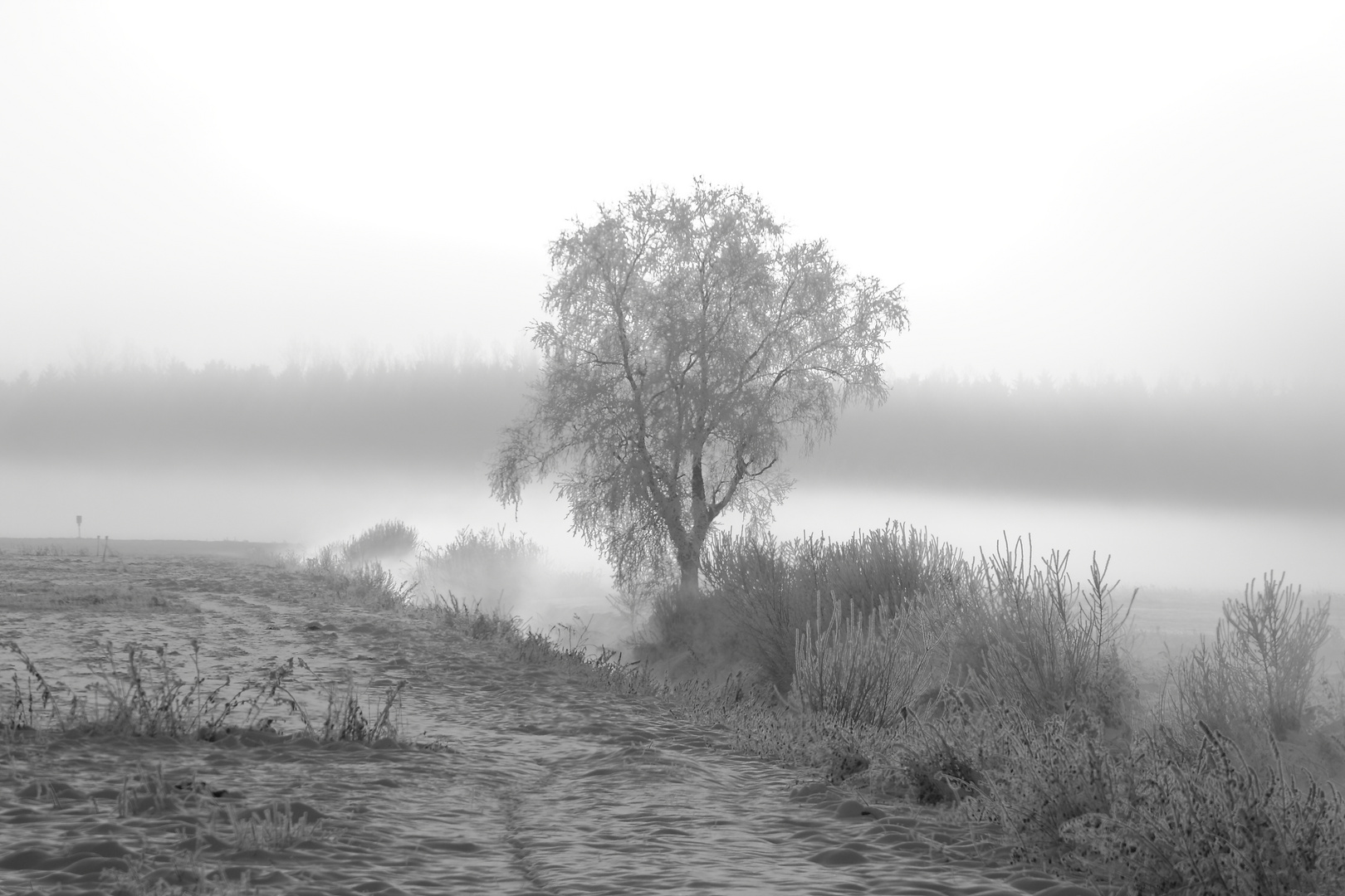 Tolle Stimmung in schwarz/weiss