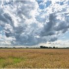 tolle Wolken