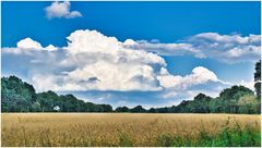 Tolle Wolken gestern Abend