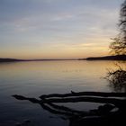 Tollensesee am Abend