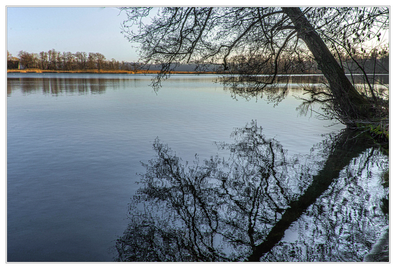 Tollensesee bei Wustrow